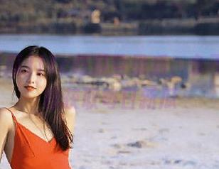 17c吃瓜登录后，永不迷路轻松获取每日新瓜
