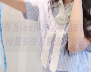 专为ios用户准备的51cg最新官网是多少及其访问方法