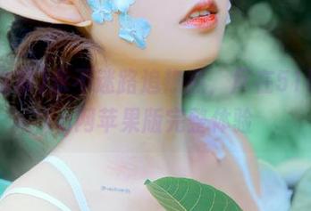 永不迷路追热点，尽在51吃瓜cg网苹果版完整体验