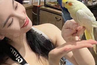 51吃瓜网网站网址揭秘：畅享吃瓜资源及苹果版使用技巧！
