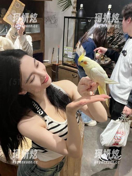 51吃瓜网网站网址揭秘：畅享吃瓜资源及苹果版使用技巧！