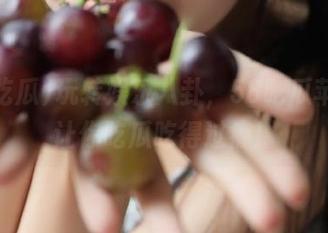 玩转娱乐八卦，58吃瓜苹果版让你吃瓜吃得过瘾！