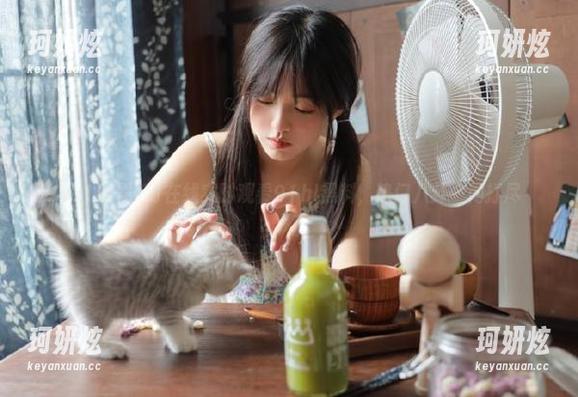 在线实时观看91hl黑料，热门八卦一网打尽