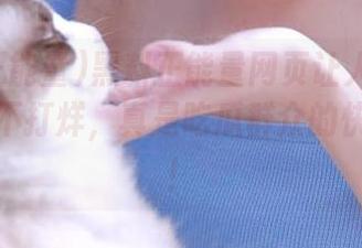 黑料正能量网页让人每日分享黑料不打烊，真是吃瓜群众的快乐源泉！