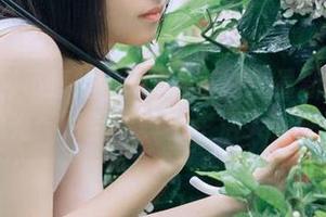 黑料网不打烊最新导航曝光：明星的真实生活大揭秘