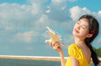 黑料老司机全新上线，让你畅享高质量资源